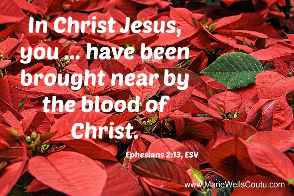 Poinsettias symbolize the blood of Christ